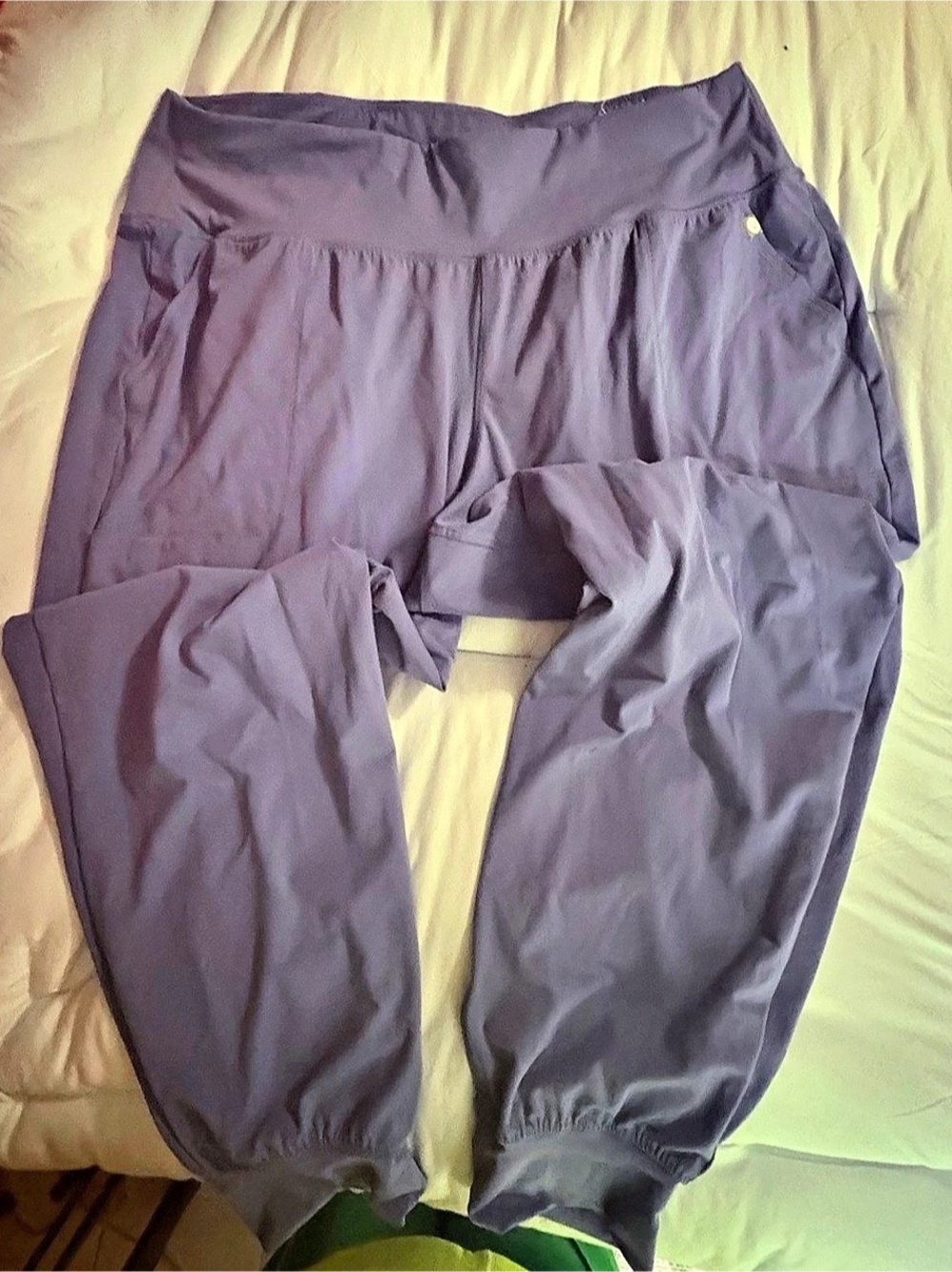 Lululemon Purple Jogger Pants Size 22/24